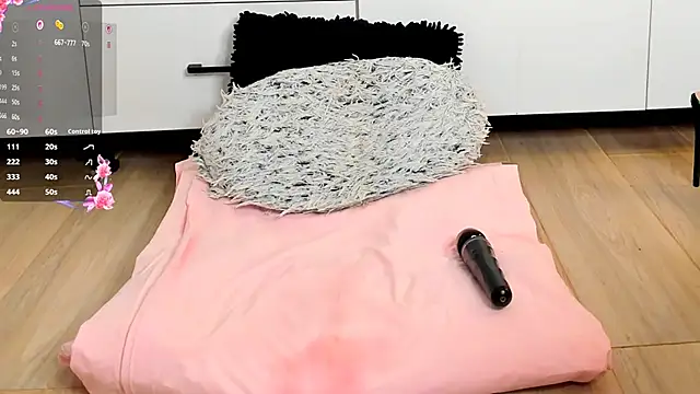 Aidasina webcam