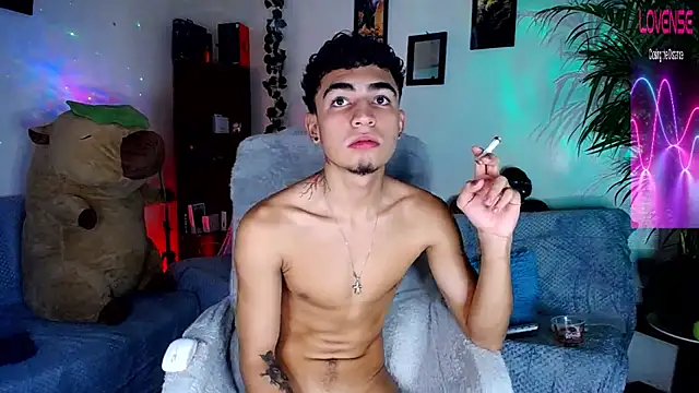 tiancam webcam