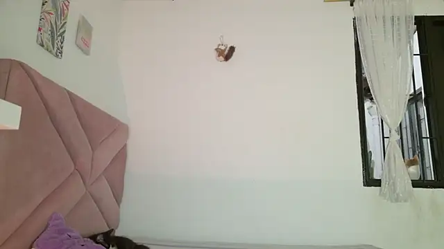 eva_sin18 webcam