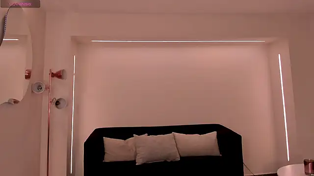 ChristineFord_ webcam