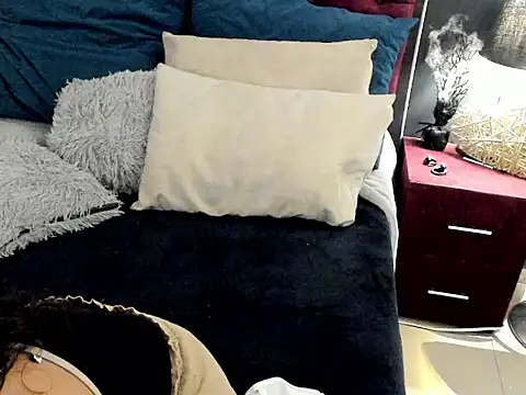 ZiaNoir_ webcam