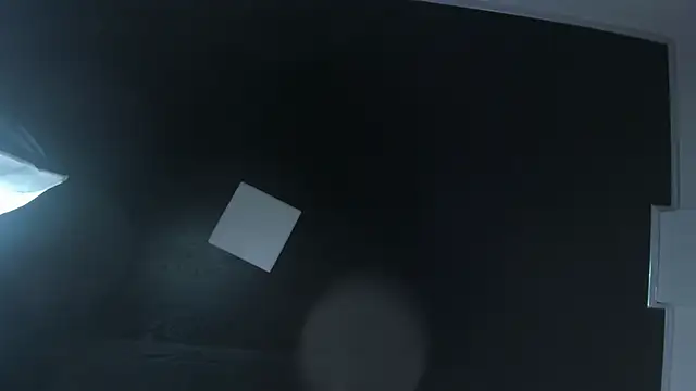 Zoee_js webcam
