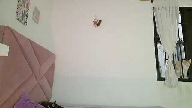 eva_sin18 webcam