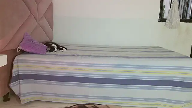 eva_sin18 webcam