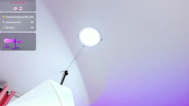 MeowMota_ webcam