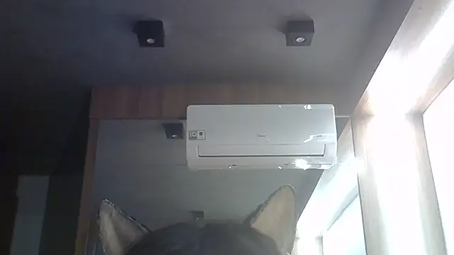 SkinnyKitten webcam