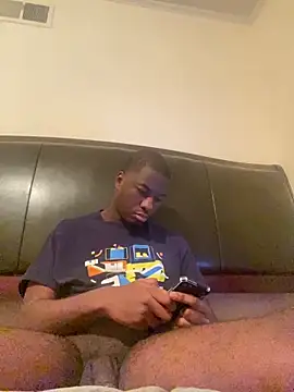 ThickDic28 webcam