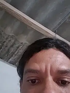 PAROQUI webcam