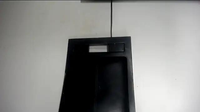 Fox_Loves webcam
