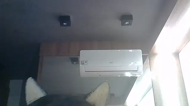 SkinnyKitten webcam