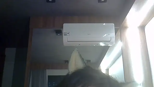 SkinnyKitten webcam