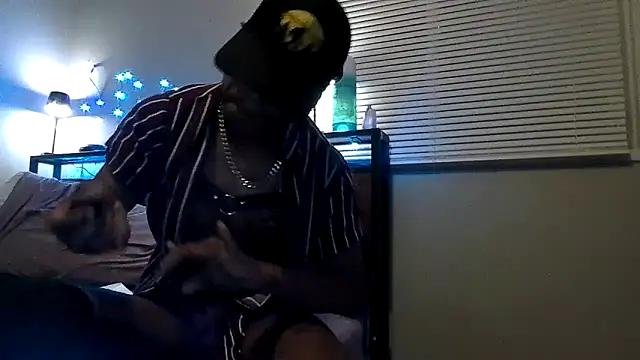 PETER-RABIT webcam