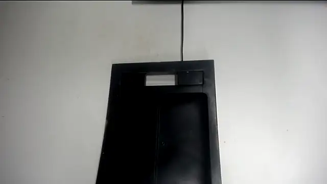 Fox_Loves webcam