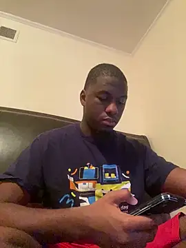 ThickDic28 webcam