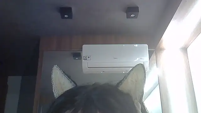SkinnyKitten webcam