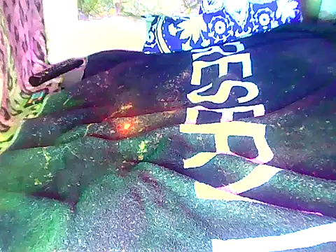 Floschae webcam