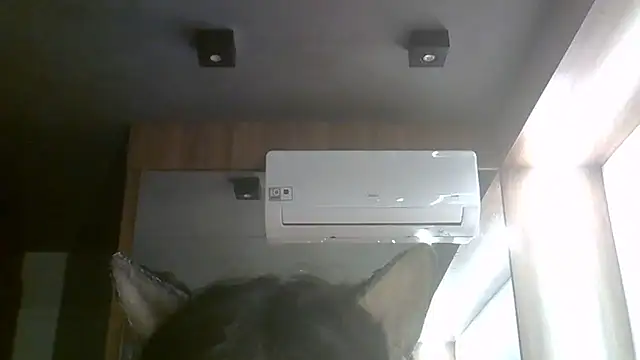 SkinnyKitten webcam