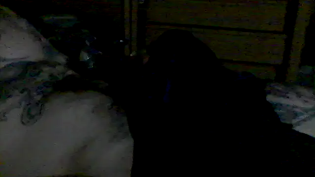 MrFumao webcam