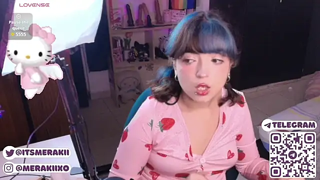 meraki_fraise webcam