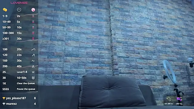 Brizza_H033 webcam