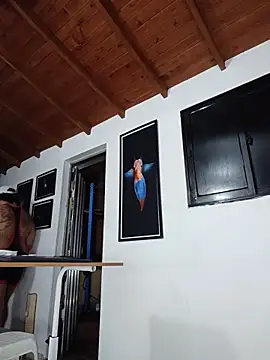 SilvaBranko webcam