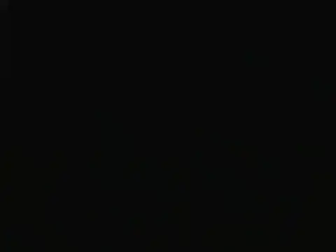 blackfox_desire webcam
