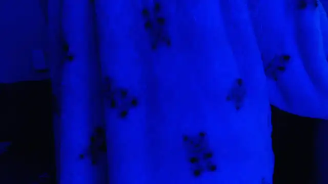 Abby_108 webcam