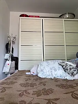 hannzn webcam