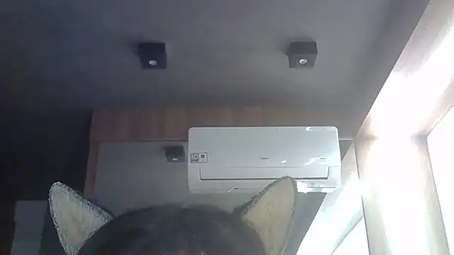 SkinnyKitten webcam