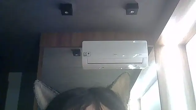 SkinnyKitten webcam