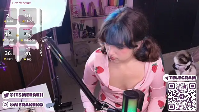 meraki_fraise webcam