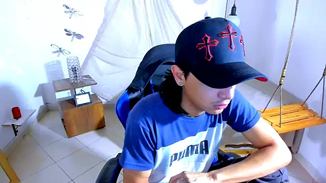 Brand_habes webcam