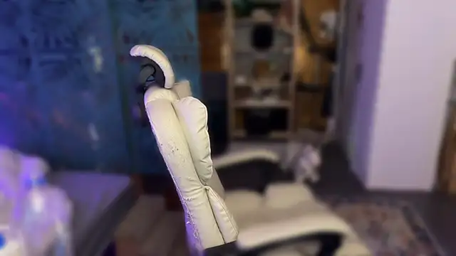 _dota2_ webcam