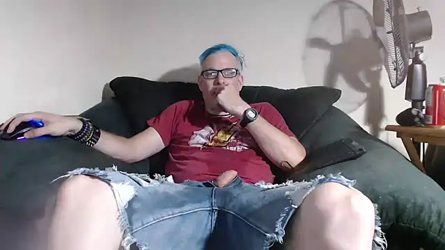 nerdy6 webcam