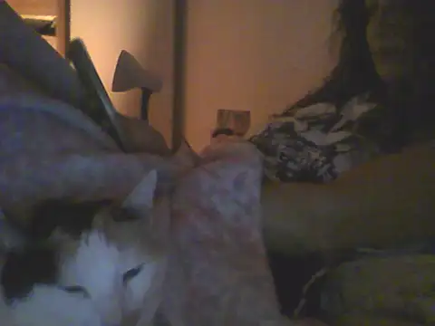 Bebita-zmp webcam
