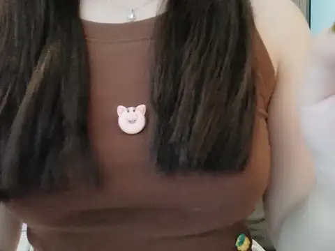 Knorr_Vietnams webcam