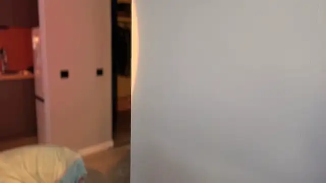 Callista_a webcam