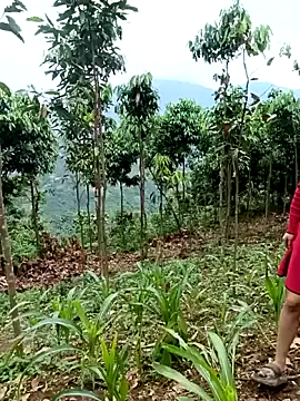 xiaogoal webcam