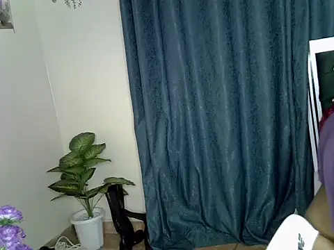 sheriiy webcam