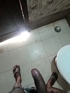 sk022 webcam