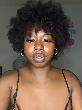 TinyBlazian901 webcam