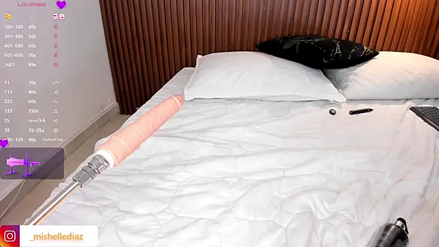_mishelle webcam