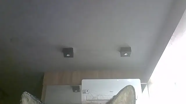 SkinnyKitten webcam