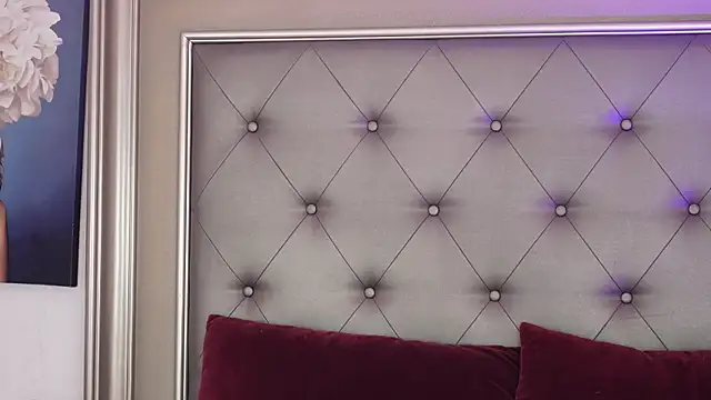 Alexxa webcam