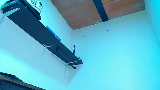 mastersmits webcam