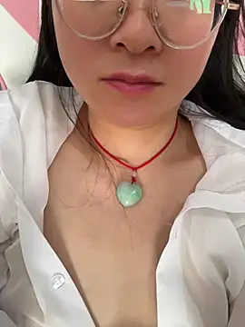 h-139431 webcam