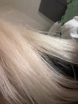 Crazylocotaa webcam