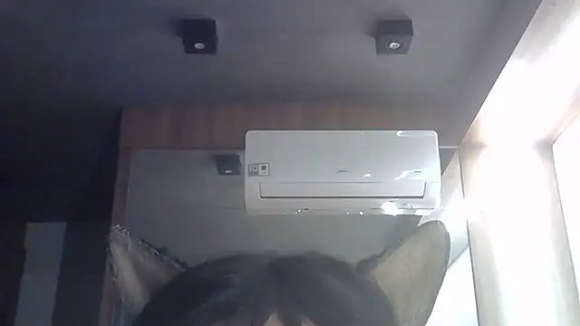 SkinnyKitten webcam