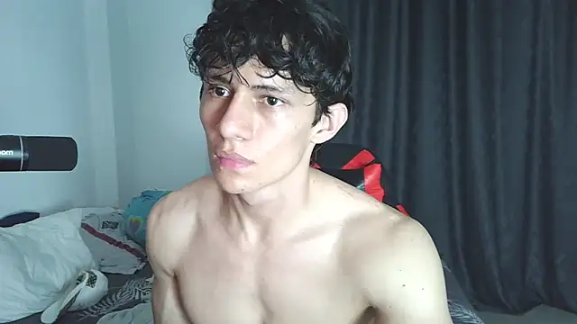 aresholland webcam