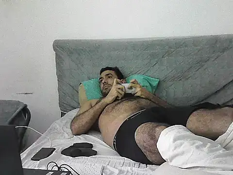 IronSideBear webcam